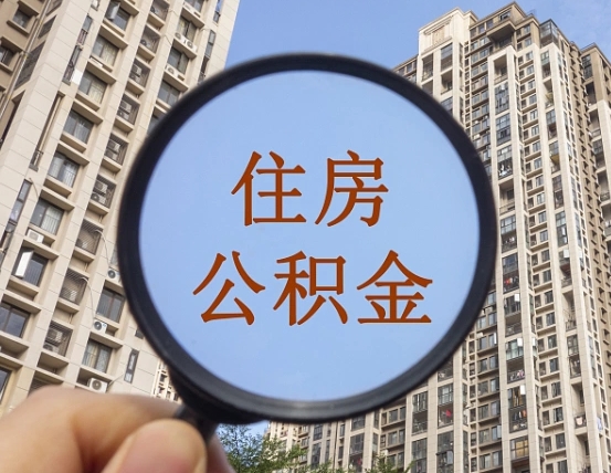 五家渠退休后查不到公积金明细了吗（退休后公积金查询不到原因）